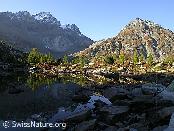 Foto: Frühmorgendliche Spiegelung im teilweise ausgetrockneten Mässersee mit herbstlichen Farben. Schwarzhorn, Fleschhorn und Stockhorn.