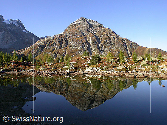 Foto: Frühmorgendliche Spiegelung im teilweise ausgetrockneten Mässersee mit herbstlichen Farben. Stockhorn.