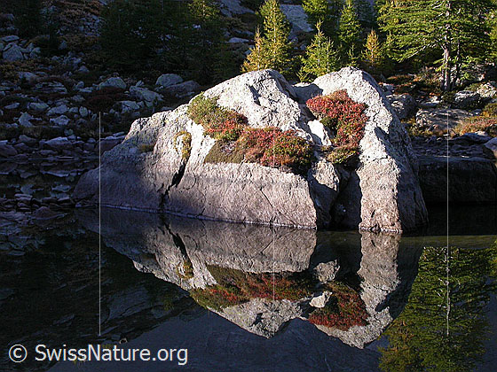 Foto: Frühmorgendliche Spiegelung im teilweise ausgetrockneten Mässersee mit herbstlichen Farben und Felsblock.