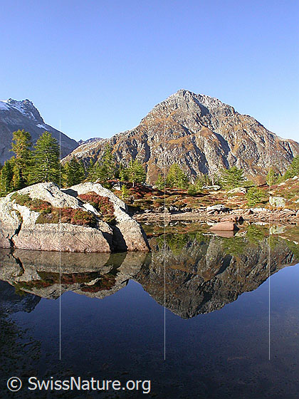 Foto: Frühmorgendliche Spiegelung im teilweise ausgetrockneten Mässersee mit herbstlichen Farben, Felsblock und Stockhorn.
