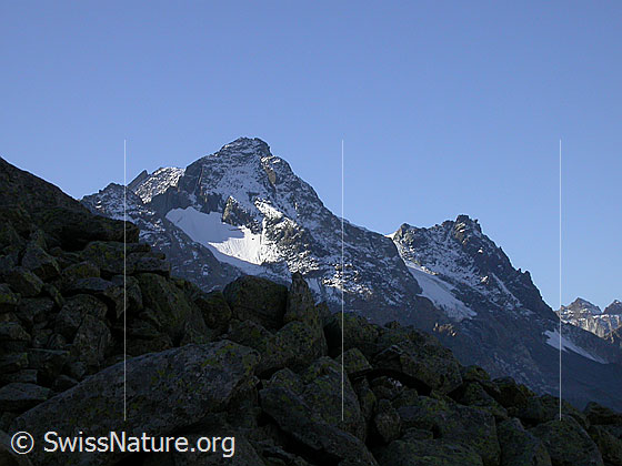 Foto: Blick vom Hotäl zu Schwarzhorn und Fleschhorn.