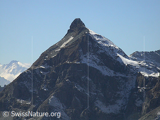 Foto: Gross Schinhorn: Blick zu Gipfel des Scherbadung.