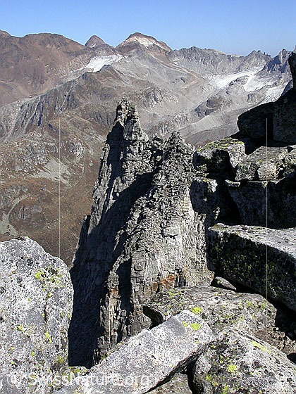 Foto: Gross Schinhorn: Blick über das kleine Schinhorn zum Hohsandhorn.
