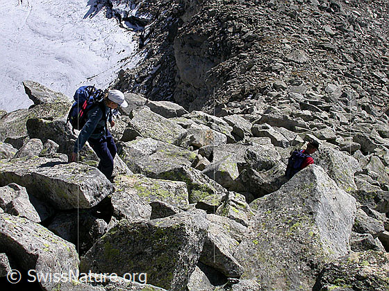 Foto: Alpinisten im Abstieg vom Gross Schinhorn in den Mittelbergpass.