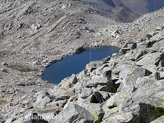 Foto: Im Abstieg vom Gross Schinhorn: Blick auf den Schwarzsee.