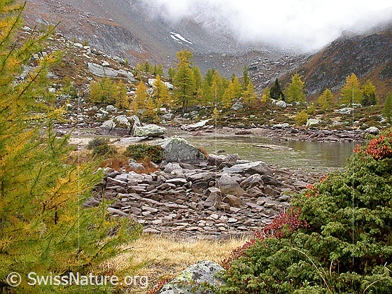 Foto: Herbststimmung am teilweise ausgetrockneten Mässersee.