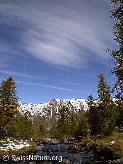 Foto: Mässerbach mit herbstlich gefärbtem Lärchenwald. Im Hintergrund: Grosses Fülhorn