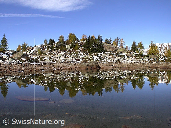 Foto: Spiegelung im fast ausgetrockneten Mässersee.