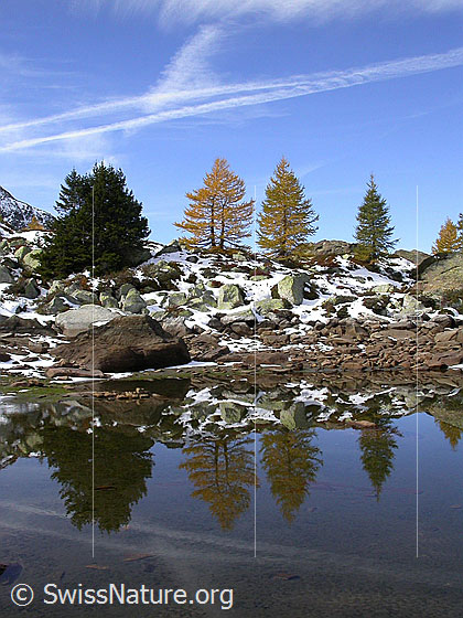 Foto: Spiegelung im fast ausgetrockneten Mässersee.