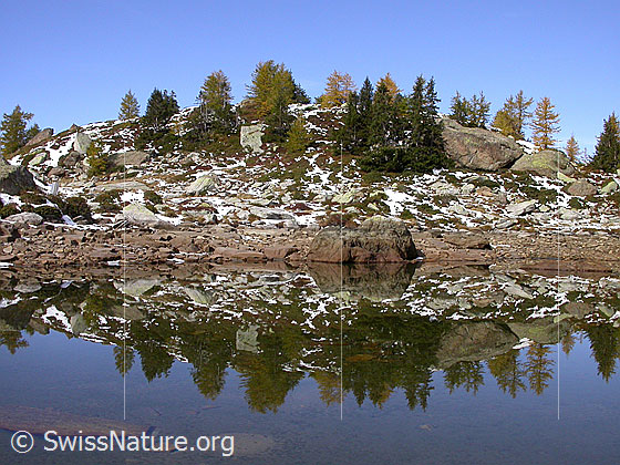 Foto: Spiegelung im fast ausgetrockneten Mässersee.