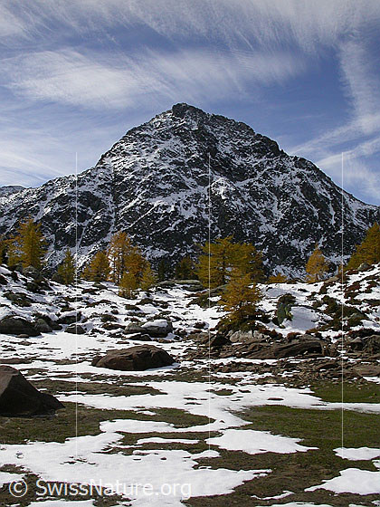 Foto: Blick über den ausgetrockneten Mässersee zum Stockhorn. Gelbe Lärchen.