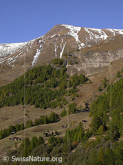 Foto: Blick von der Grube Lengenbach zum Gross Fülhorn. Darunter Heiwmeder.