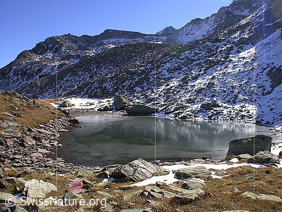 Foto: Blick auf den zugefroreren Schaplersee.