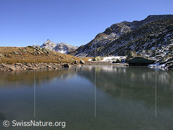 Foto: Blick über den zugefroreren Schaplersee zum Untere Schinhorn. Schwache Spiegelung auf dem Eis.