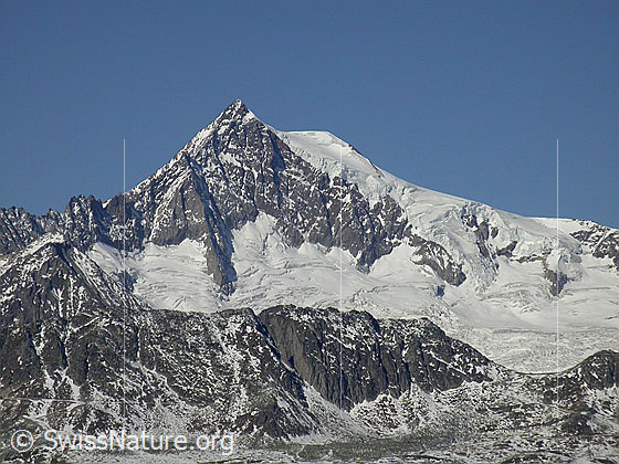 Foto: Aletschhorn von SSE (Schaplersee)
