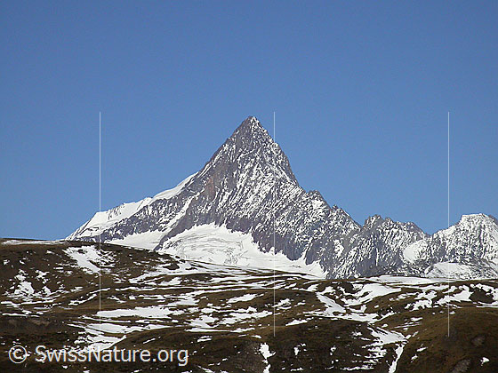 Foto: Finsteraarhorn von SSE (Schaplersee) Davor das Eggerhorn.