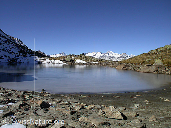 Foto: Blick über den zugefroreren Schaplersee Richtung Berner Alpen (Aletschhorn)