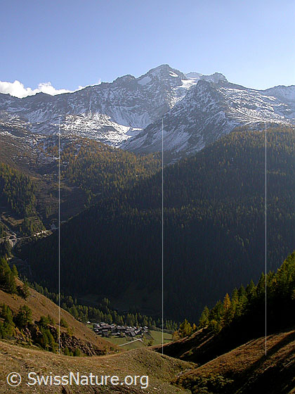 Foto: Tiefblick auf Imfeld. Darüber herbstlich gefärbter Manibode, Schwarzhorn und Stockhorn.