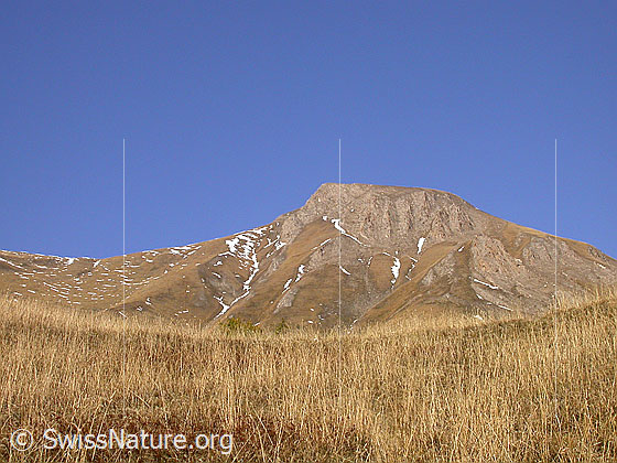 Foto: Blick von Stafulstatt zum Grossen Fülhorn. Herbstliche Farben.