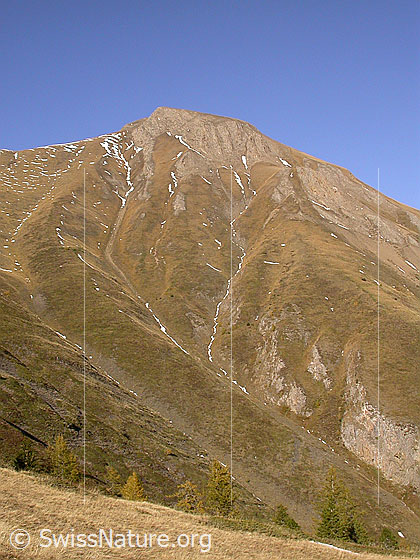 Foto: Grosses Fülhorn. Herbstliche Farben.