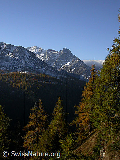 Foto: Blick vom Sännewäg über den Hockbode zu Helsenhorn und Vordere Helse.