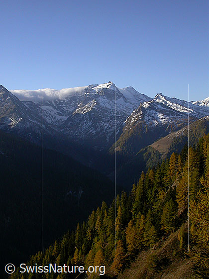 Foto: Blick vom Sännewäg zum Hillehorn. Links vom Hillehorn ist eine Föhnwalze zu sehen.