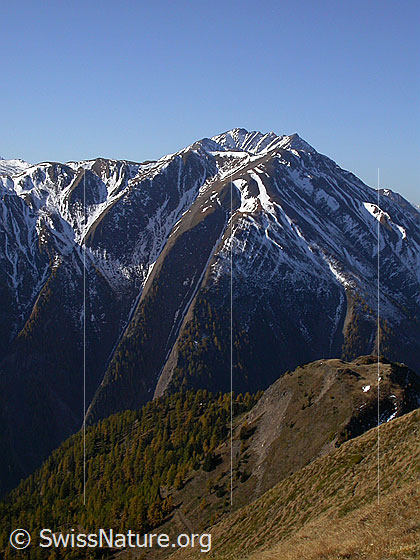 Foto: Im Aufstieg zum Eggerhorn: Blick zu Breithorn und Bättlihorn. Im Vordergrund: Burstini