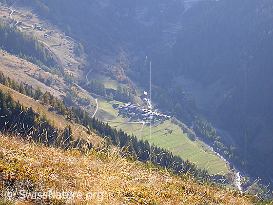 Foto: Im Aufstieg zum Eggerhorn: Tiefblick auf Imfeld.