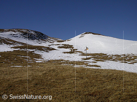 Foto: Wegweiser kurz vor dem Eggerhorn.