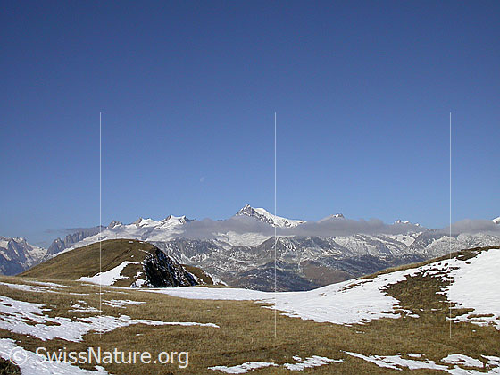Foto: Nordgipfel des Eggerhorn. Im Hintergrund die Berner Alpen.