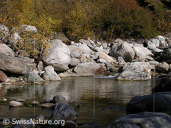 Foto: Binna bei Imfeld.