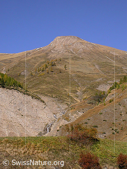 Foto: Unterhalb Imfeld: Blick zum Gross Fülhorn