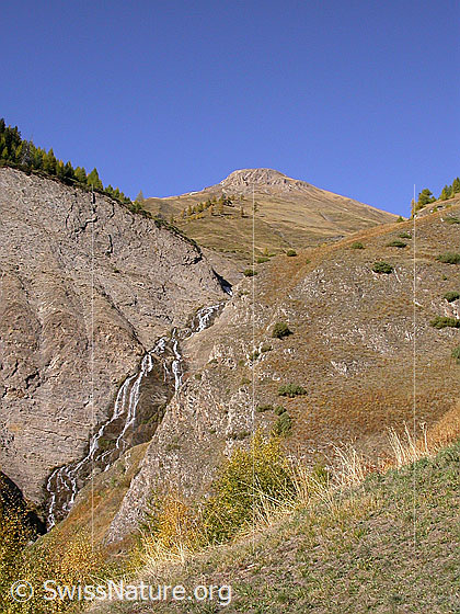 Foto: Wasserfall am Ausgang des Fäldbachtals. Grosses Fülhorn.