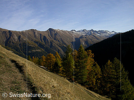Foto: Im Aufstieg zum Breithorn: Blick vom Weiler  Rufibort über Lengtal und Binntal.