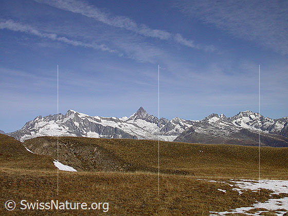 Foto: Im Aufstieg zum Breithorn: Blick von Pt. 2421 Richtung Berner Alpen (Gross Wannenhorn, Finsteraarhorn, etc.)