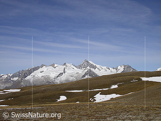 Foto: Herbstlich gefärbte Landschaft auf dem Breithorn. Dahinter die Berner Alpen (Geisshorn, Aletschhorn)