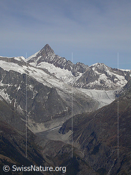 Foto: Blick vom Breithorn zu Finsteraarhorn und Fieschergletscher.