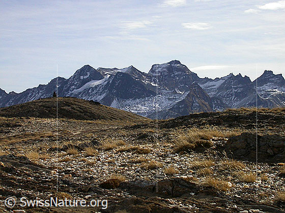 Foto: Blick vom Breithorn zum Scherbadung-Massiv. Urtümliche Landschaft.