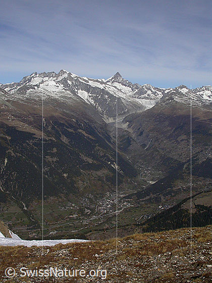 Foto: Blick vom Breithorn auf Fiesch und zu den Berner Alpen.