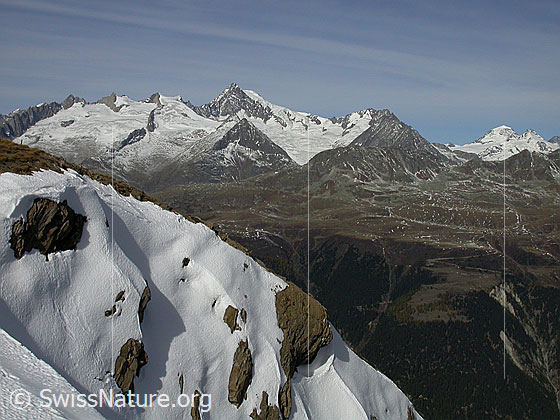 Foto: Blick vom Breithorn zu Geisshorn und Aletschhorn.