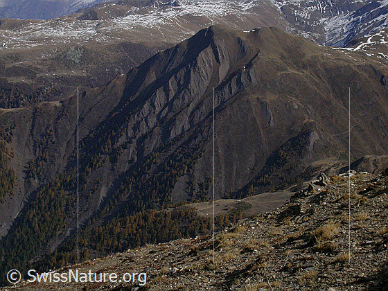 Foto: Blick vom Breithorn zum Eggerhorn. Vor dem Eggerhorn die Äbnimatt