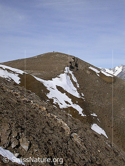 Foto: Der Hauptgipfel des Breithorns.