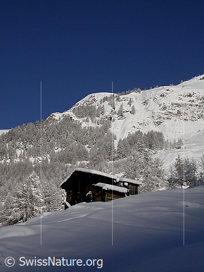Foto: Imfeld, das tief verschneite Binntal und das Breithorn.