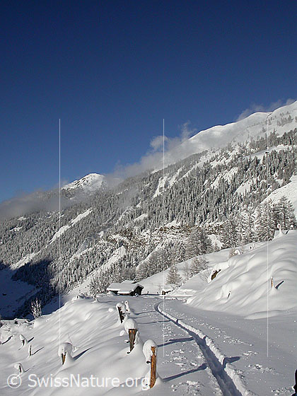 Foto: Verschneite Landschaft mit Skispur bei Heiwmeder. Blick Richtung Eggerhorn.