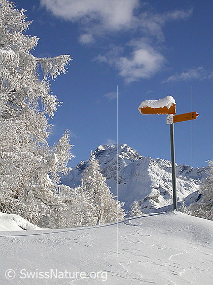 Foto: Verschneite Landschaft mit Ofenhorn, Lärchen und Wegweiser bei Eggerebode.