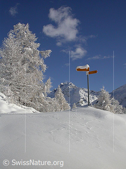Foto: Verschneite Landschaft mit Ofenhorn, Lärchen und Wegweiser bei Eggerebode.