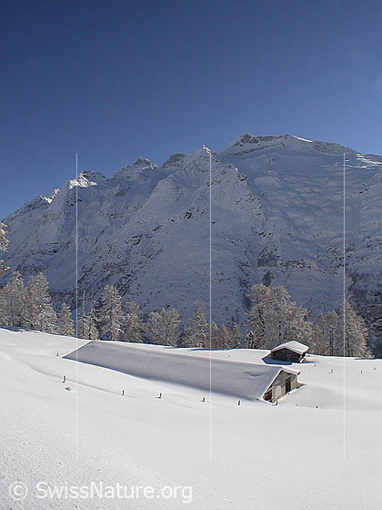 Foto: Eingeschneiter Stall auf Hanschbiel. Dahinter die Schinhörner.