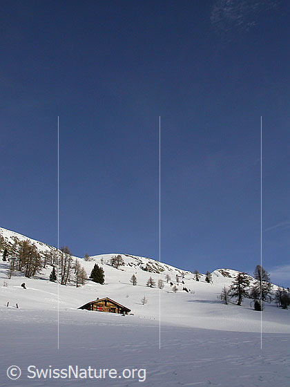Foto: Im Aufstieg zum Gandhorn: Alphütte bei Hanschbiel. Im Hintergrund das Gandhorn.