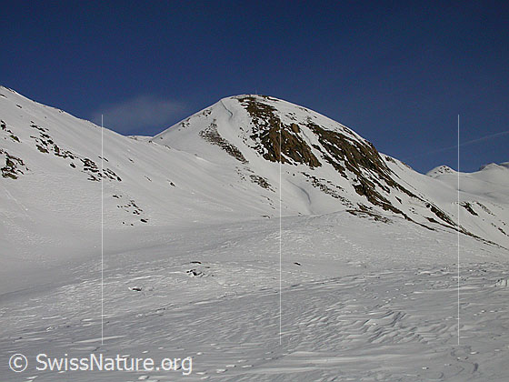 Foto: Im Aufstieg zum Gandhorn. Der Gipfel ist bereits in Sichtweite.