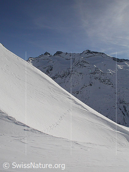 Foto: Blick vom Fuss des Gandhorn Richtung Schinhörner.